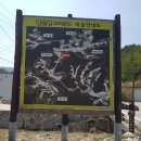 응아지 나루 이미지