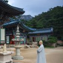 만해 한용운 萬海 韓龍雲 이미지