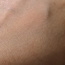 투에이엔 듀얼치크 오렌지 플레어&amp;베러 미 아이팔레트02페어리 사용후기