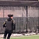 도다닥 이미지