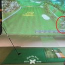 티그린 골프존 네이버블로그