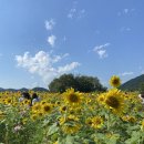 환경시설관리공사 달성사업소 이미지