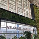 7583 | [공지] [베트남 푸꾸옥] 청주공항 푸꾸옥 이스타항공 ZE7583 탑승 후기, 온라인 체크인 실패 원인