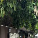 비소(조)-호-19 | 치앙마이 3월 여행 (6) : [치앙마이 올드타운 숙소 추천] 호 게스트하우스(Hoh Guesthouse)