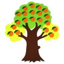 오렌지나무 이미지