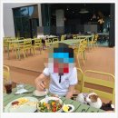 카페 르몽 | 사천삼천포 애견 동반 가능 르몽 브런치 카페 소개