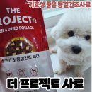 더프로젝트 | 소고기와 동결건조사료와의 만남 더프로젝트사료 급여후기