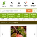 묘한정원 이미지