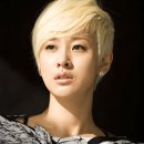 마야 카카오 검색결과