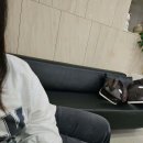 세란정형외과의원 이미지