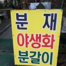 남산분재예술원 이미지