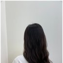 리안헤어 이미지