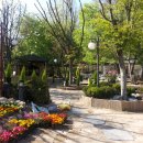 골목가든 이미지