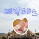 워터컵 | [공지] 김해 롯데워터파크 후기｜준비물, 매직패스, 주차, 먹거리, 대기시간 총정리 내돈내산 후기