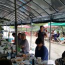 차씨네농장 이미지