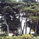 저우리마을 이미지