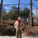 어썸데일리