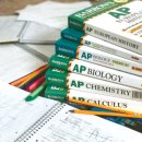 AP Art 이미지
