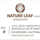 바른담뱃잎 이미지