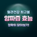 양파즙 효능 정확히 알아보기!