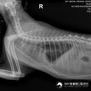 일곡동물병원 이미지