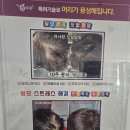 매트로펠리스Ⅱ-B | 요즘 머리숱 고민이라면 부천 두피관리 다녀온 솔직 후기