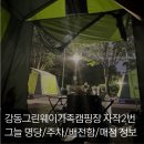 나무그늘 | 강동그린웨이캠핑장 여름 1박 자작나무2번 후기(그늘 배전함 명당정보,주차,매점 식료품,전기선 리드선...