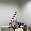 새로운 봄 의원 이미지