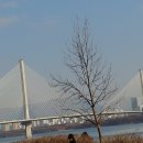 장자호수공원1 이미지