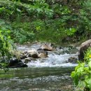 철마농장 이미지