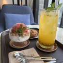 주은피시 이미지