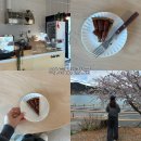 악토버깅코(oct.ginkgo) | 거제 장목 카페 추천 악토버킹코