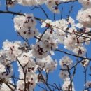 화정천1 이미지