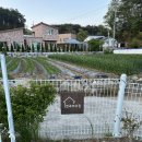 CU 강릉 연곡금강점 | 강릉 | 연곡바우집: 주문진 수산시장 차량 10분 독채 숙소, 5인이상 단체 숙소, 1박 2일 여행