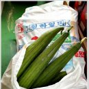거북이건강원 - 화성시 조암로 20-3 | 거북이건강원