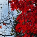 조안 농장 이미지