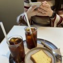 데일리조이