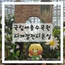 영흥수목원 전시온실 | 국립세종수목원 사계절전시온실 후기, 아이랑 실내 나들이 추천 (부채파초 실제 본 후기)