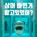 생명과학(B) | 국립현대미술관 서울 '데미안 허스트' 전시 솔직 후기 논란 이유