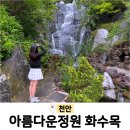 천안 아름다운정원화수목 핑크뮬리 댑싸리 충남 데이트코스 가볼만한곳