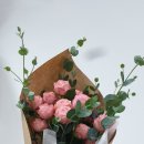 블루메플레르
