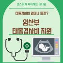 태동검사비 얼마나 들까? | 임산부 태동검사비 지원, 모르면 손해 보는 4가지 제도 총정리