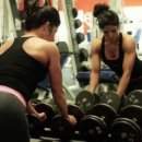 바디캠프 이미지