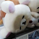 [마케팅 부트캠프/디지털 마케터 취업 준비] 도와세움 디마에 86기 1주차 (2) - 너무나 다양한 마케터의 길