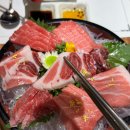 신동신참치