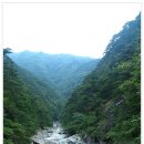 대정자동차정비 이미지