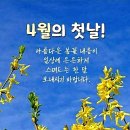 이해인( 4월의 시)~~~~ 이미지