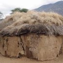 대산가축 이미지