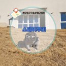 스테이루비 이미지