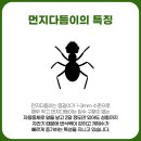 에프비아이방역